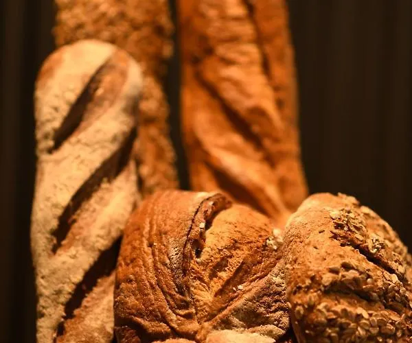 Emser Thermenhotel 호텔