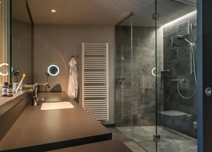 Hotel Emser Thermenhotel Bad Ems